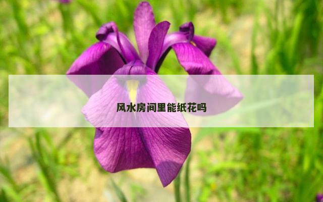 风水房间里能纸花吗