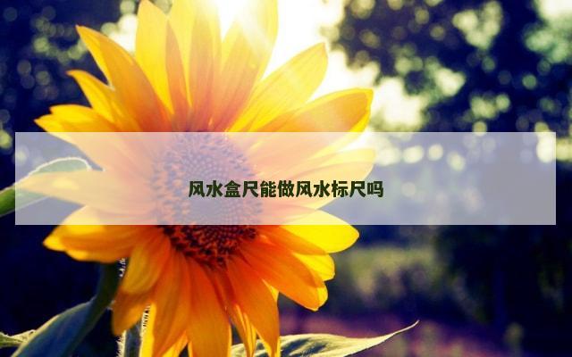 风水盒尺能做风水标尺吗