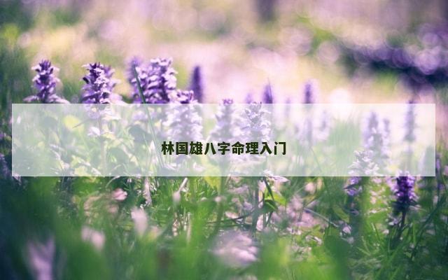 林国雄八字命理入门