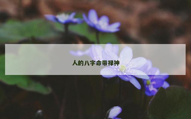 人的八字命带禄神
