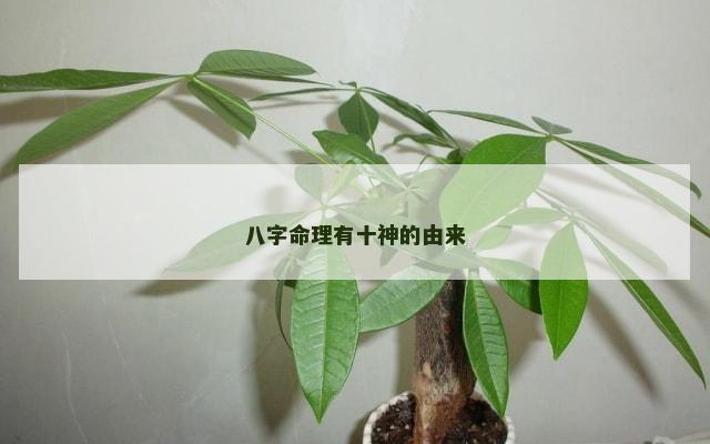 八字命理有十神的由来