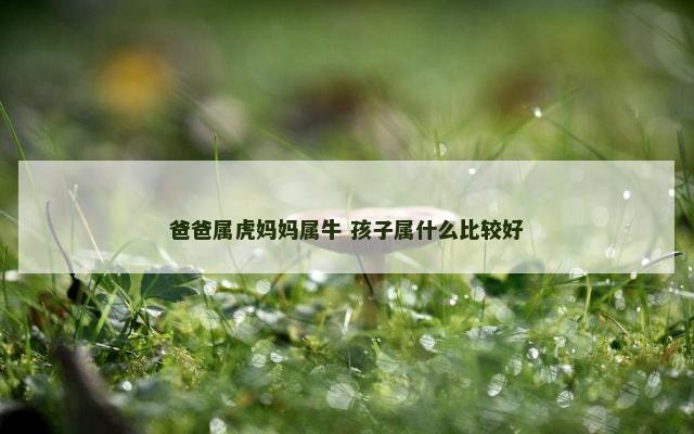 爸爸属虎妈妈属牛 孩子属什么比较好