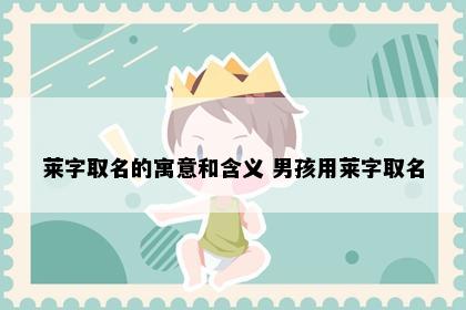 莱字取名的寓意和含义 男孩用莱字取名