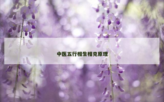 中医五行相生相克原理