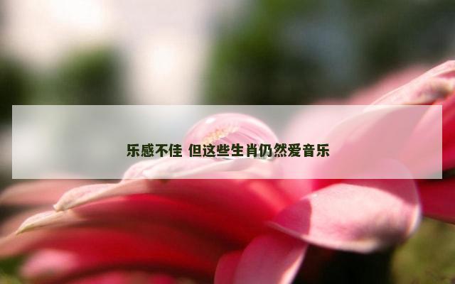 乐感不佳 但这些生肖仍然爱音乐