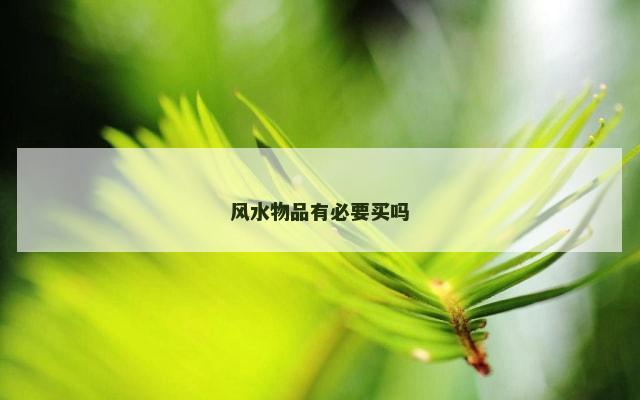 风水物品有必要买吗