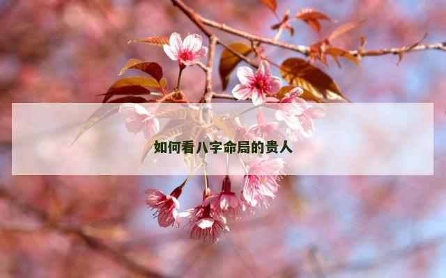 如何看八字命局的贵人