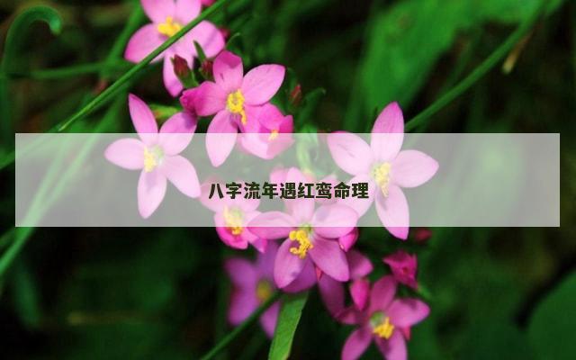 八字流年遇红鸾命理