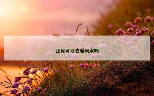 正月可以去看风水吗