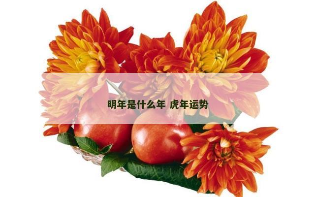 明年是什么年 虎年运势