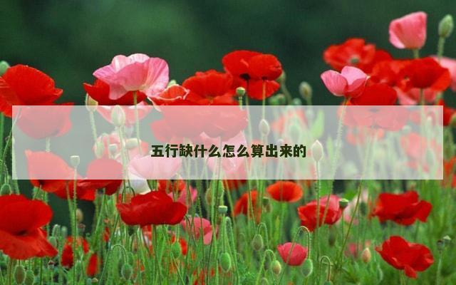 五行缺什么怎么算出来的