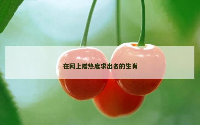 在网上蹭热度求出名的生肖