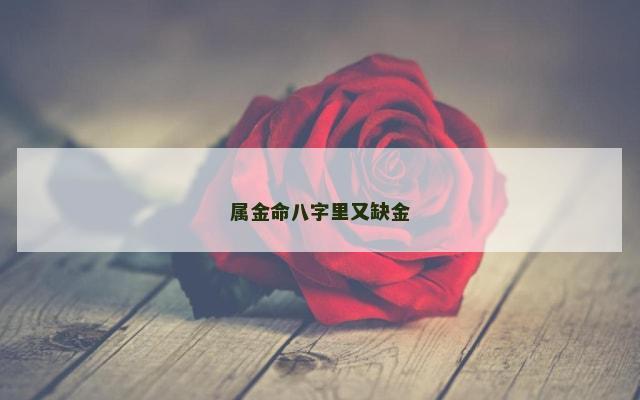 属金命八字里又缺金