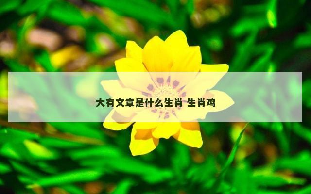 大有文章是什么生肖 生肖鸡