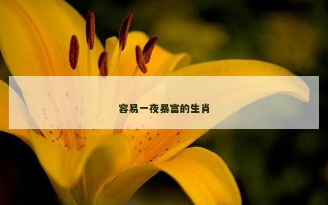 容易一夜暴富的生肖