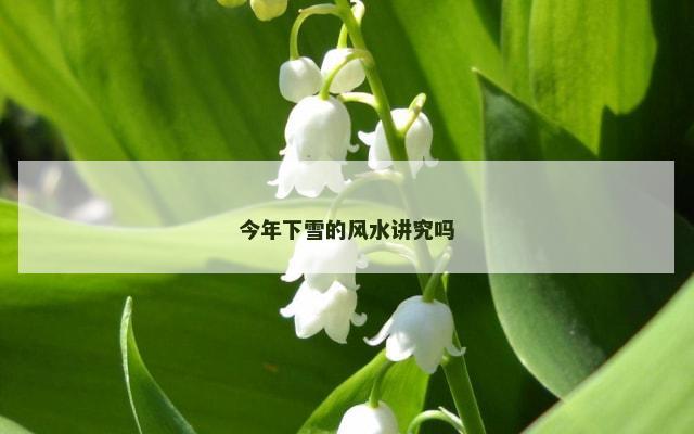 今年下雪的风水讲究吗