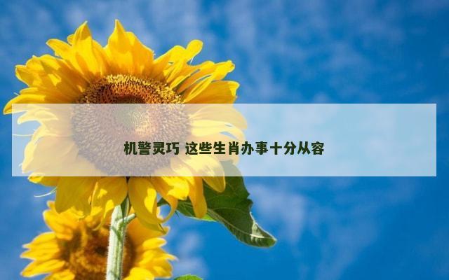 机警灵巧 这些生肖办事十分从容