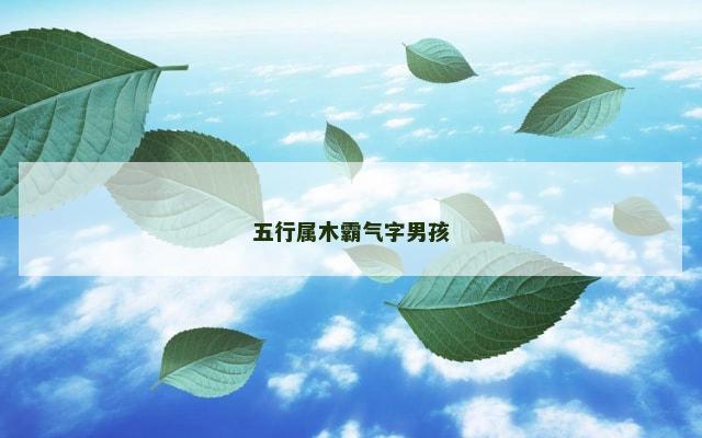 五行属木霸气字男孩