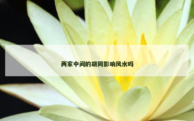 两家中间的胡同影响风水吗