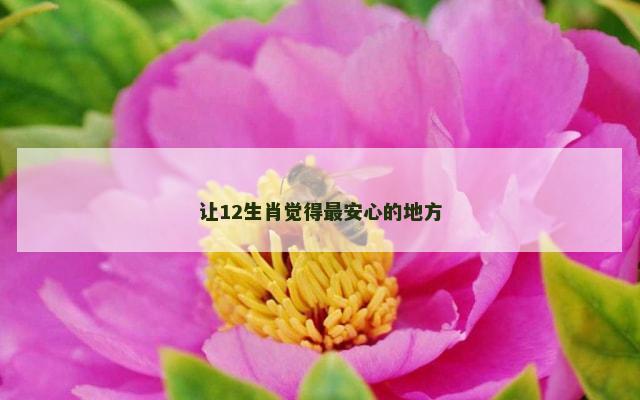 让12生肖觉得最安心的地方