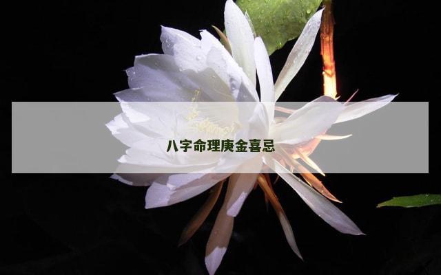 八字命理庚金喜忌