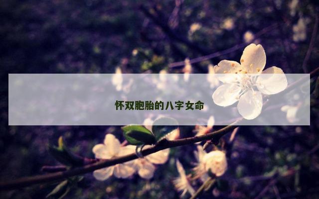 怀双胞胎的八字女命