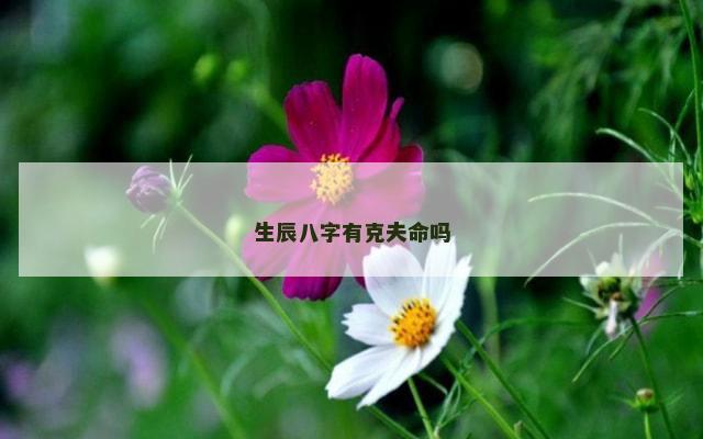 生辰八字有克夫命吗