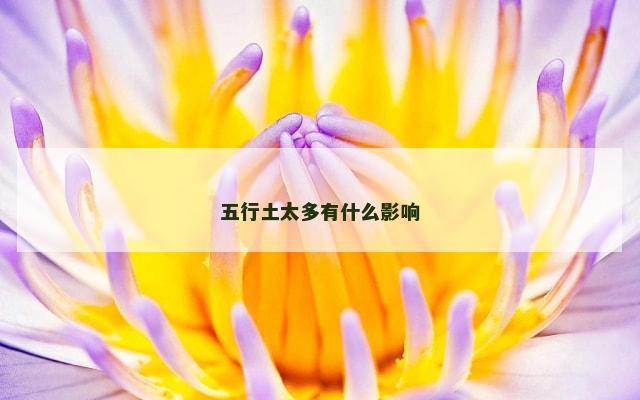 五行土太多有什么影响
