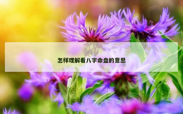 怎样理解看八字命盘的意思