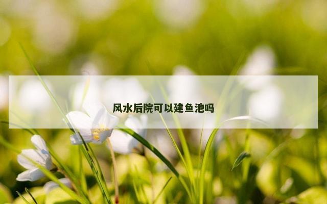风水后院可以建鱼池吗