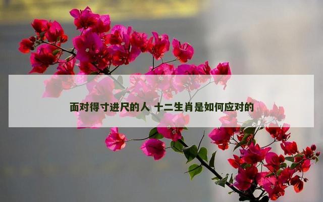 面对得寸进尺的人 十二生肖是如何应对的
