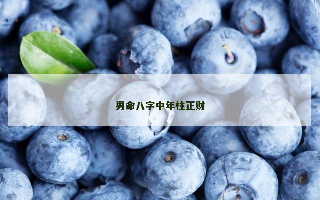 男命八字中年柱正财