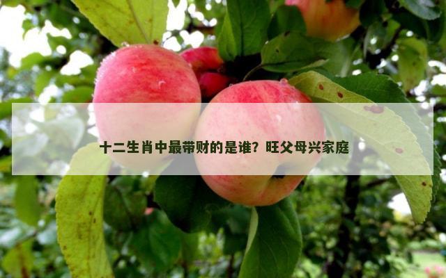 十二生肖中最带财的是谁？旺父母兴家庭