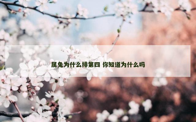 属兔为什么排第四 你知道为什么吗