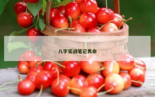 八字实战笔记男命