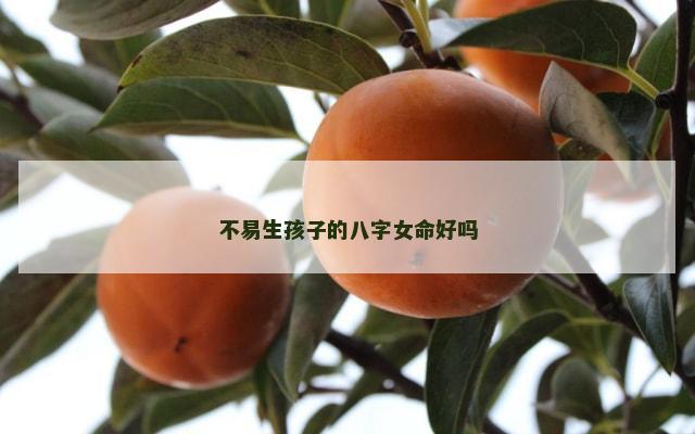 不易生孩子的八字女命好吗