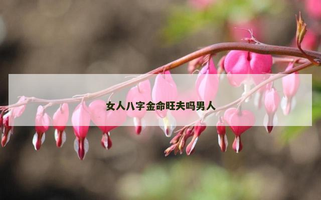 女人八字金命旺夫吗男人