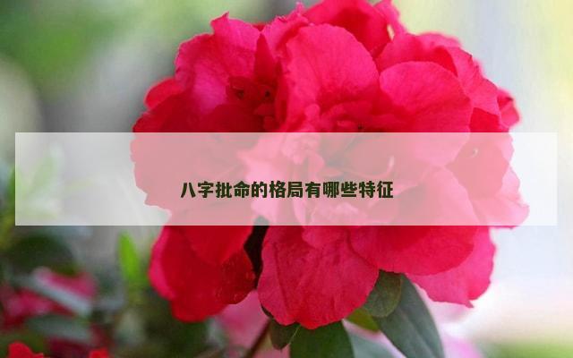 八字批命的格局有哪些特征