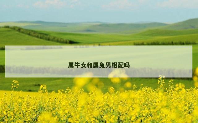 属牛女和属兔男相配吗