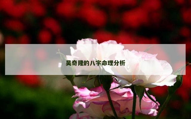 吴奇隆的八字命理分析