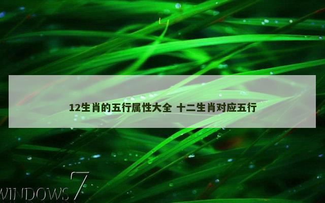 12生肖的五行属性大全 十二生肖对应五行