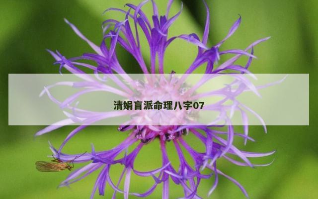 清娟盲派命理八字07