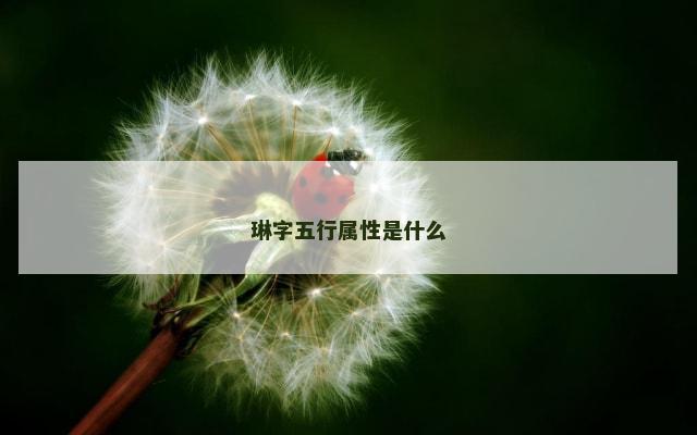 琳字五行属性是什么