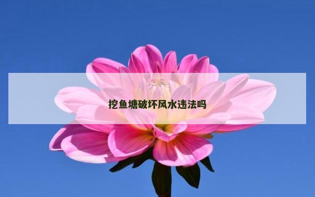 挖鱼塘破坏风水违法吗