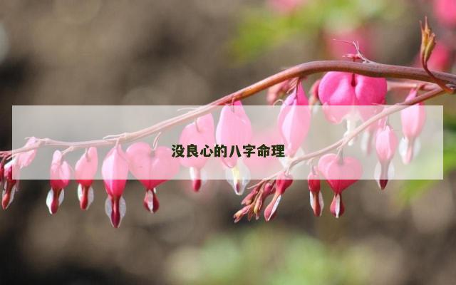 没良心的八字命理