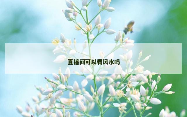 直播间可以看风水吗