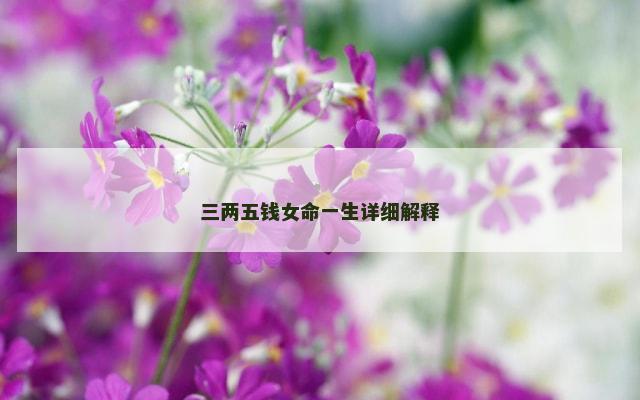 三两五钱女命一生详细解释