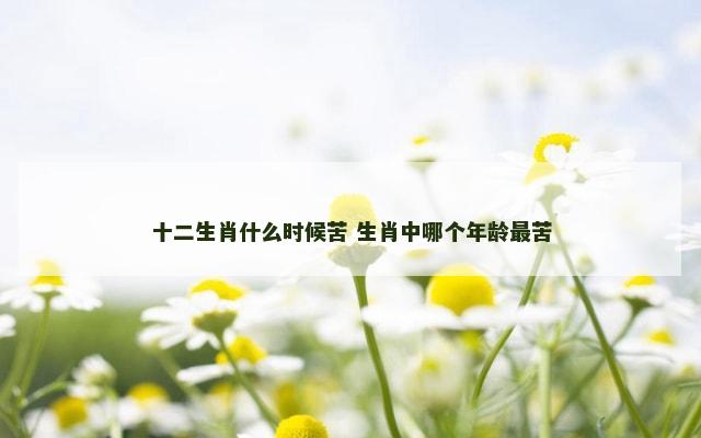 十二生肖什么时候苦 生肖中哪个年龄最苦