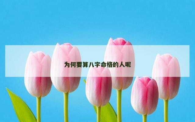 为何要算八字命格的人呢