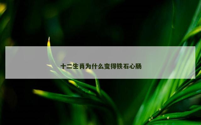 十二生肖为什么变得铁石心肠